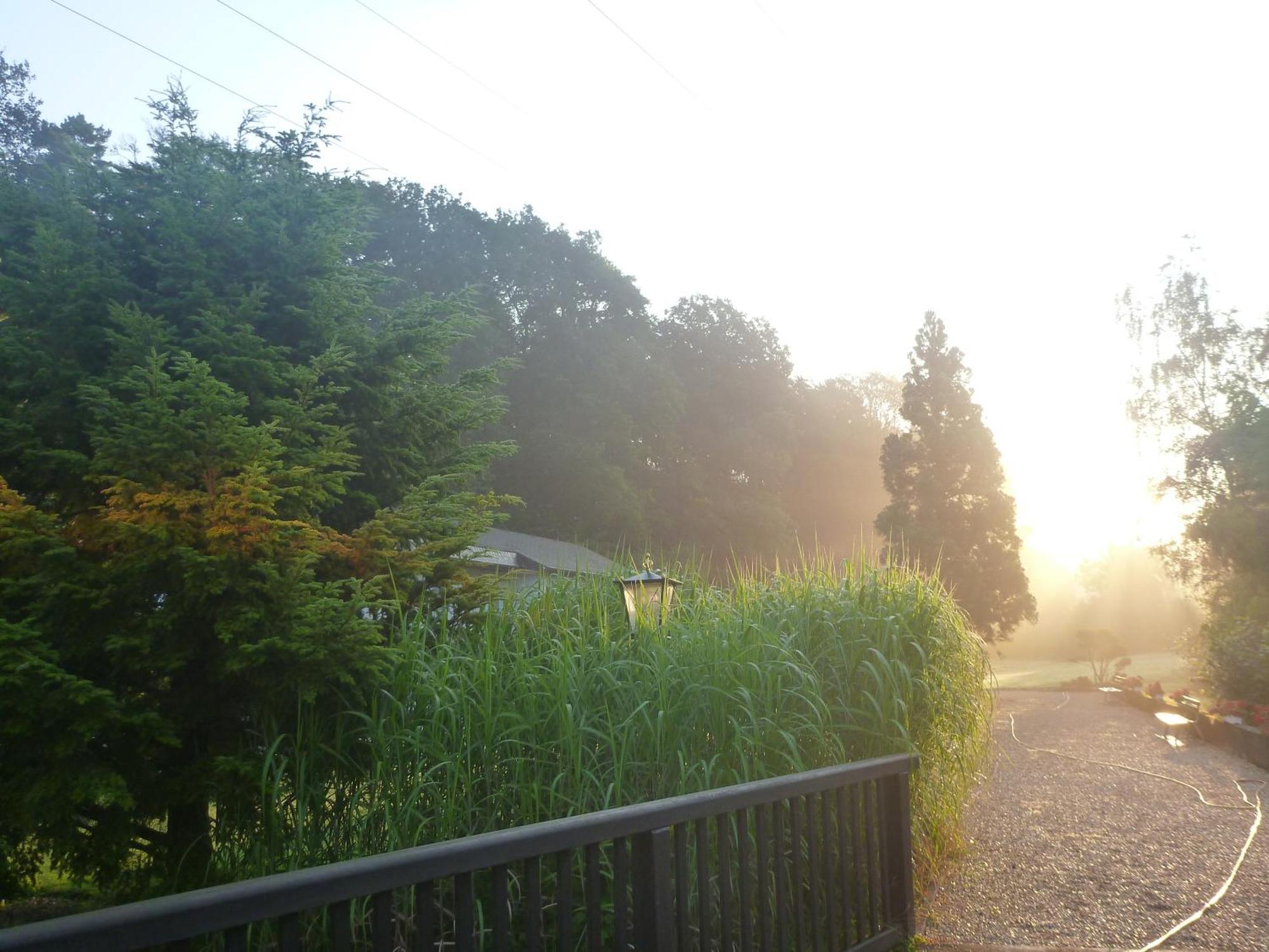 Romantik Waldhotel Mangold Bergisch Gladbach Dış mekan fotoğraf